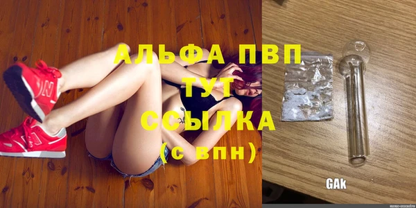 гашик Алексин