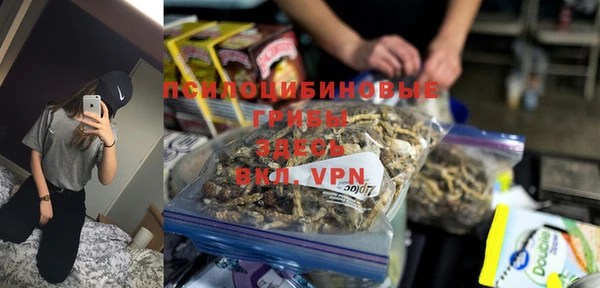 a pvp Аркадак