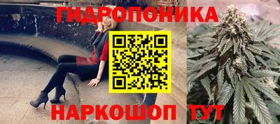 сатива Волгодонск