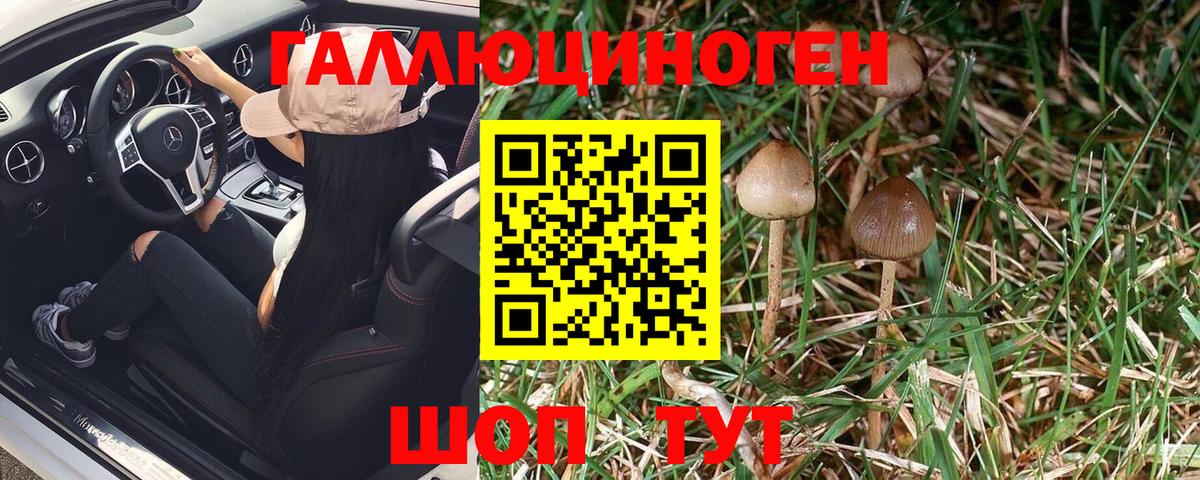 Галлюциногенные грибы Psilocybine cubensis Мыски