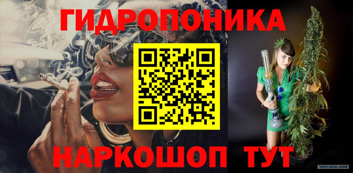Бошки марихуана AK-47  Вход с VPN  Мыски  МАРИХУАНА Ganja  Марихуана конопля 